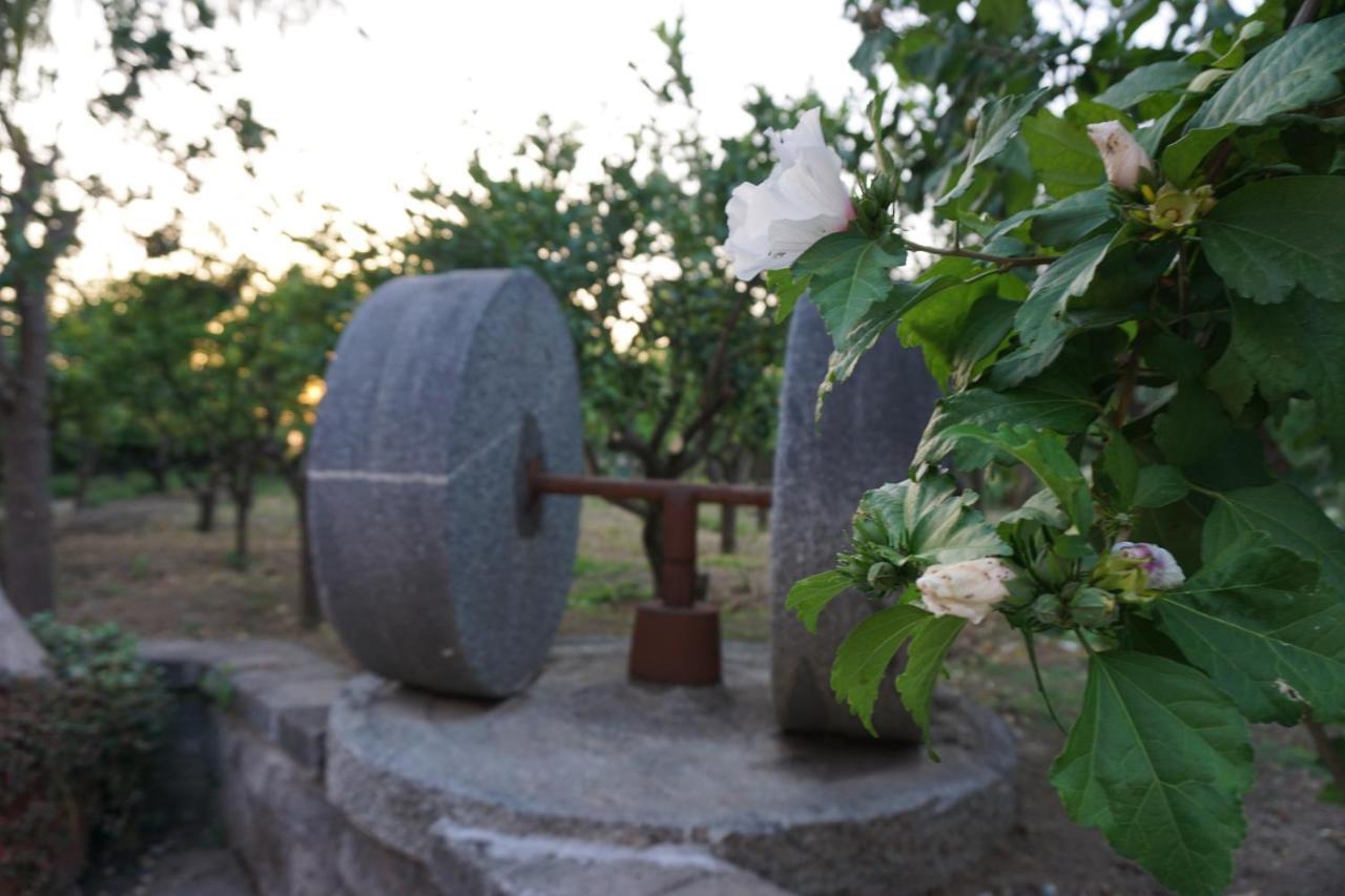Lemon Factor Sorrento Bed and Breakfast Εξωτερικό φωτογραφία